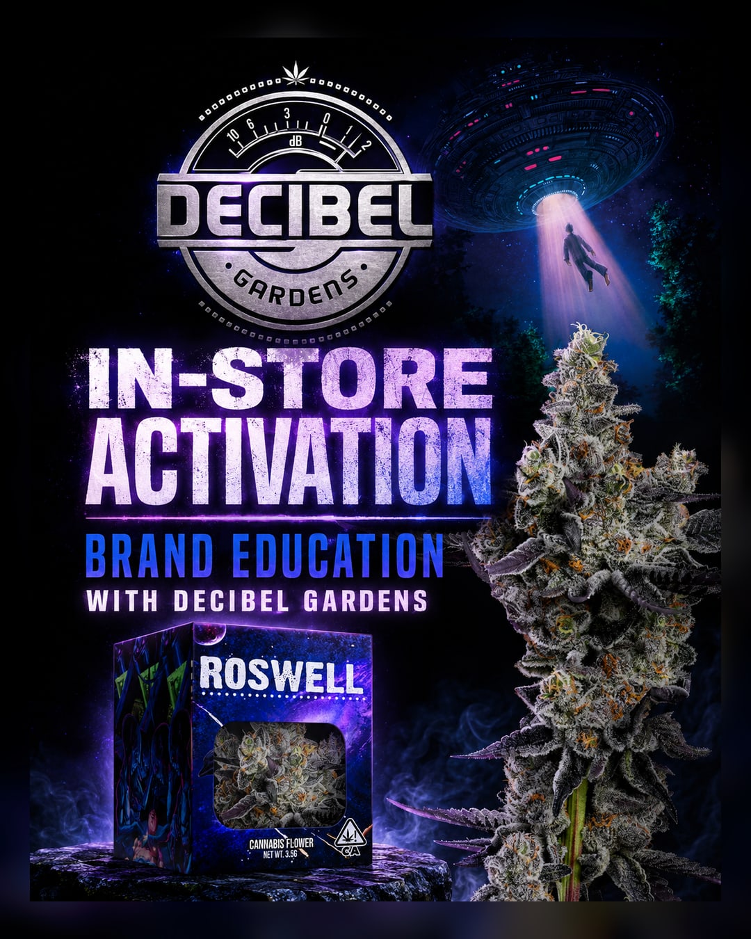 Brand PAD with Decibel Gardens: Cannabis Activation at Sessions by the Bay